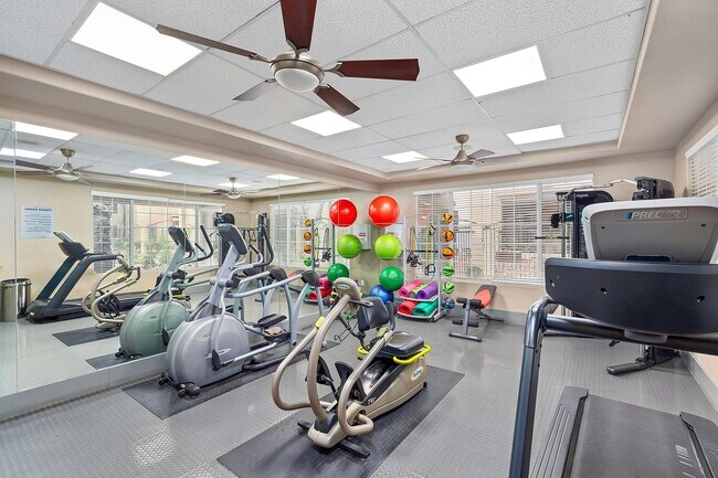 Gimnasio - Destinations Spring Valley 55+ Active Adult Apartment Homes