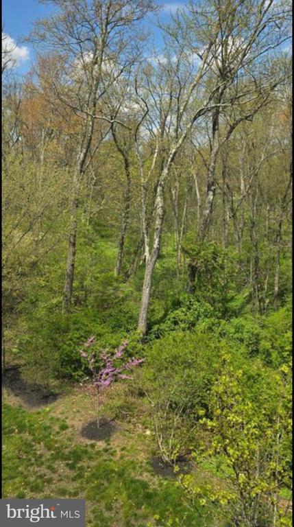 Foto del edificio - 135 Briarwood Ln