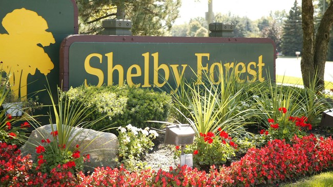 Building Photo - Shelby Forest