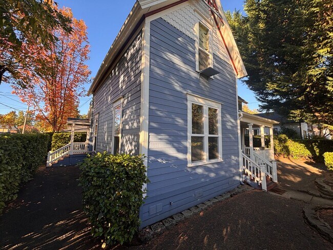 Foto del edificio - Beautiful Ground Level 1Bed/1Bath with outdoor space Close to Downtown Albany!