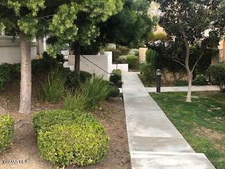 Building Photo - 1555 Silver Shadow Dr