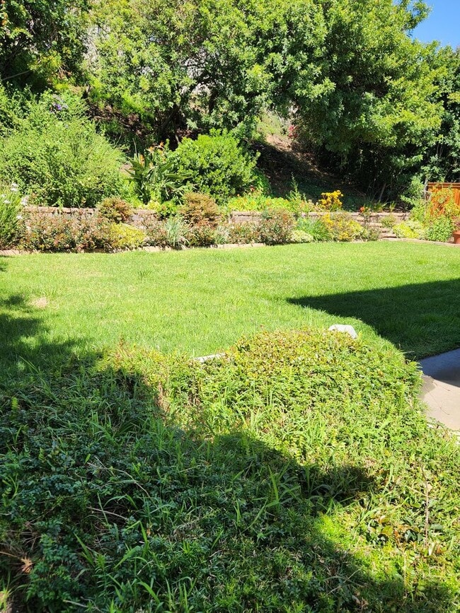 Building Photo - University City 4 bed home, Quiet street, 1950 Sqft