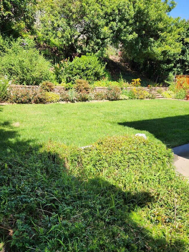 Foto del edificio - University City 4 bed home, Quiet street, 1950 Sqft