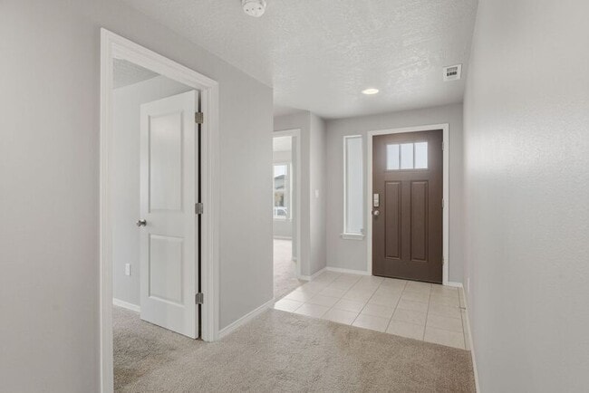 Building Photo - 3613 Ibis Ln