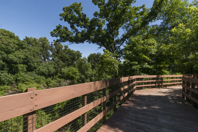 Beautiful Setting - Forest Hills Apartments