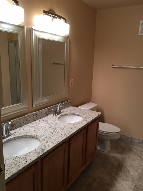 Master Bathroom - 8856 Ashgrove House Ln