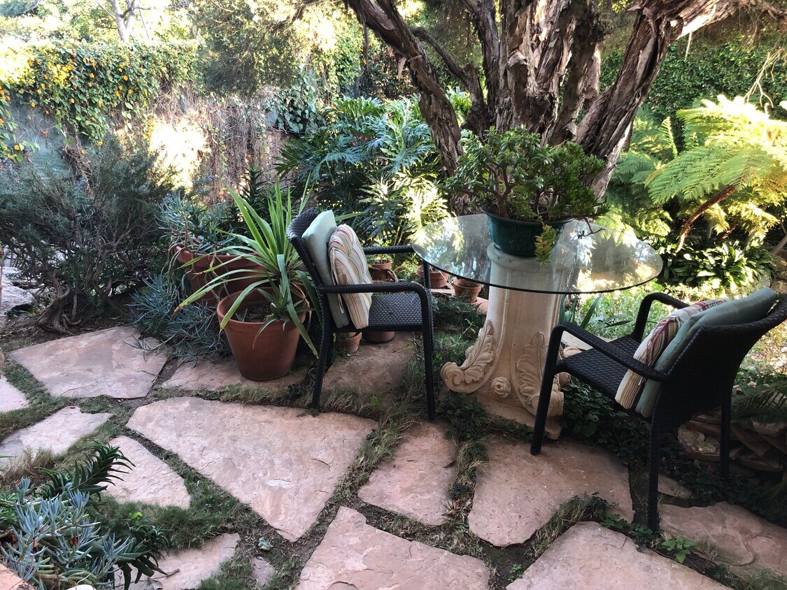 private garden area - 1648 San Onofre Dr
