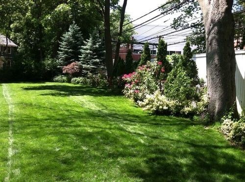 Primary Photo - 43 Brington Rd