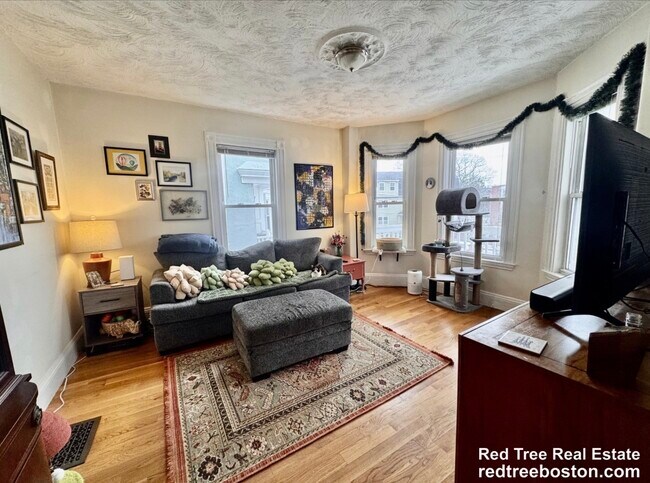 Foto del edificio - 26 Egleston St