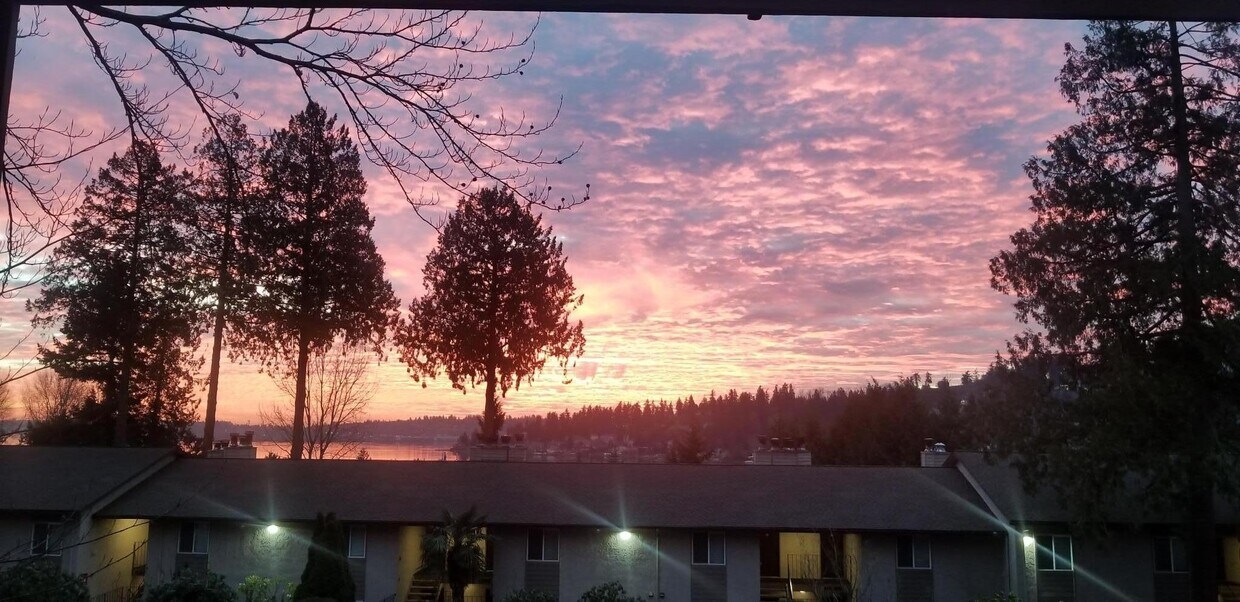 Evening View from Private Deck - 11645 100th Ave NE