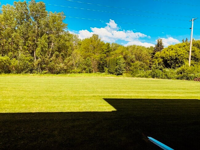 Backyard view - 2731 Castles Gate Dr
