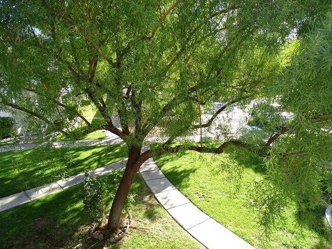 Building Photo - 2 Bedroom Condo In The Lakes Community