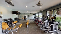 Located at 9611 Grant Rd in Houston, Texas, this well-equipped fitness center offers a comprehensive workout facility on a single level. The space is thoughtfully designed with soft sage-green walls, recessed lighting, and ceiling fans that contribute to a comfortable and functional environment.

The cardio zone is positioned along a wall of large, floor-to-ceiling windows that flood the room with natural light and provide views of an outdoor pool area surrounded by tropical palms. This section houses multiple treadmills, elliptical trainers, and stationary cycling bikes, all accompanied by wall-mounted flat-screen televisions for entertainment during workouts.

The strength training area is anchored by a full-wall mirror that enhances the sense of space and allows for proper form monitoring. Equipment includes a multi-station cable and weight machine, a dedicated dumbbell rack with a comprehensive range of free weights, and adjustable weight benches. Additional selectorized strength machines round out the offerings, providing options for both targeted and compound exercises.

The room is finished with durable, patterned carpet flooring suited for a high-traffic fitness environment. Facility rules are posted near the entrance, and a hand sanitizer dispenser is conveniently mounted on the wall. The overall layout is open and organized, allowing for easy movement between equipment zones.