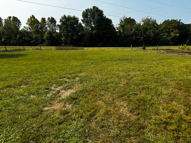 Side yard - 165 Humphrey Ln