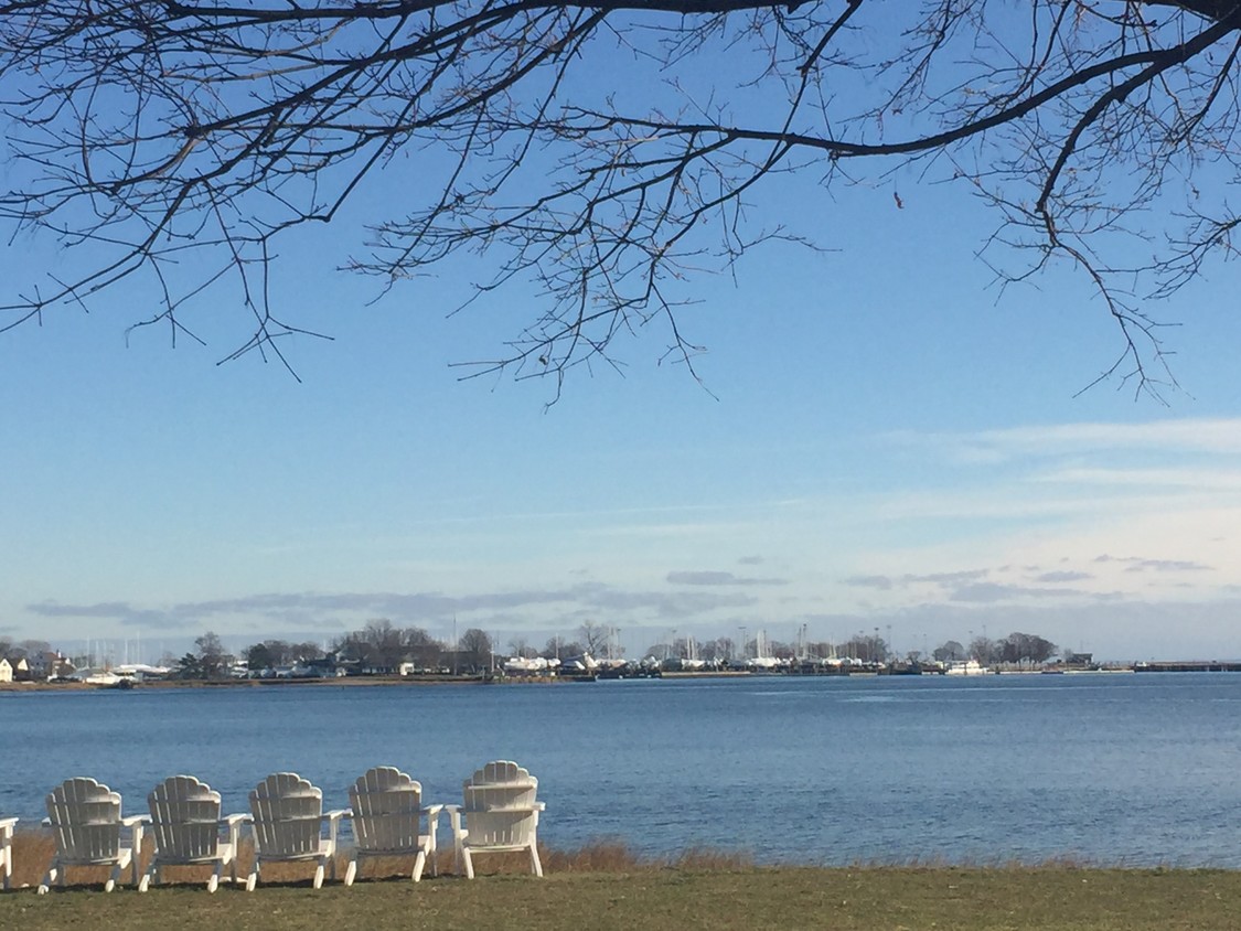 Disfruta de la naturaleza y la ribera de vida de estar - 62 Shorefront Park