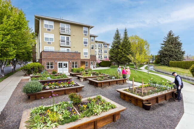 Jardín comunitario - Terraces at Summitview