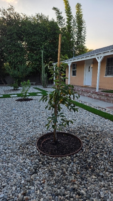 Foto del edificio - 12345 winnetka