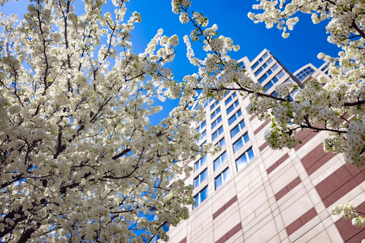 The Plaza Apartments Grand Rapids, MI