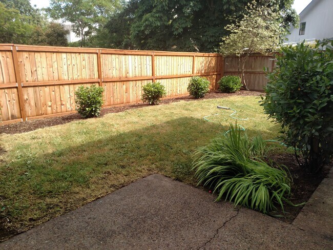 Back yard - 895 Rainbow Dr