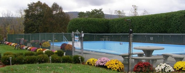 Pool - Colonial Gardens Apartments