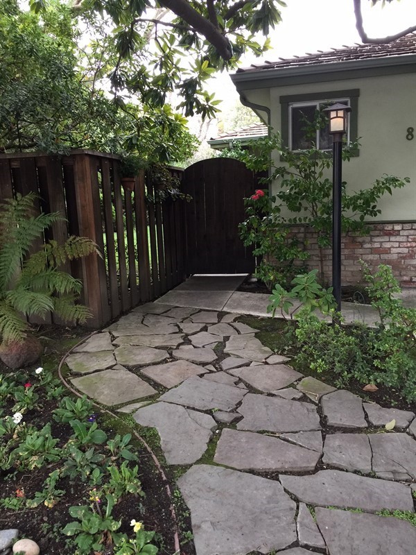 Primary Photo - Summer in Palo Alto!