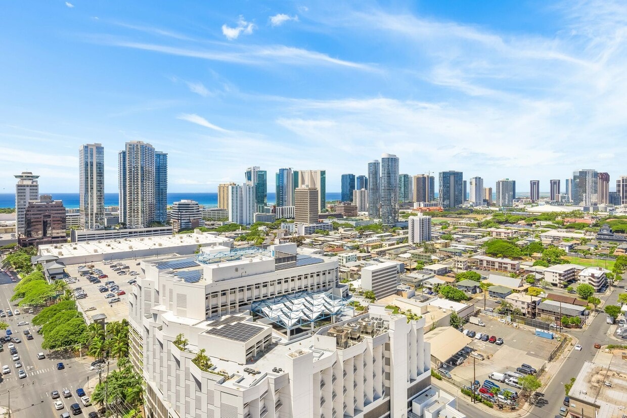 Primary Photo - Brand New-Pet Friendly, Large Studio in Lu...