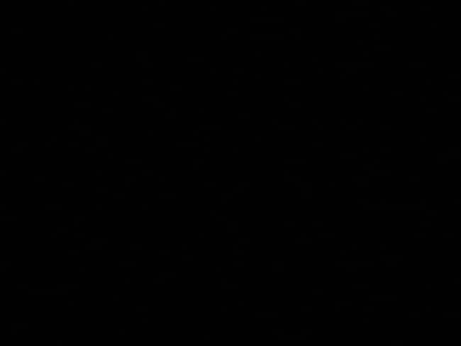 Building Photo - 1414 C St NE