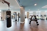 Located at 4720 Nations Crossing Rd in Charlotte, NC, this modern fitness center offers a generously sized, single-floor exercise space designed to accommodate a comprehensive range of workout activities. The room features a contemporary aesthetic with a striking blue-toned ceiling accented by sleek linear LED lighting and recessed fixtures, all set above rich, large-format tile flooring in warm earth tones.

The layout is open and well-organized, with textured stone-clad columns providing architectural definition throughout the space. Floor-to-ceiling windows along multiple walls flood the interior with abundant natural light and offer views of the surrounding outdoor environment, creating an energizing atmosphere.

Equipment is thoughtfully arranged to support diverse training disciplines. A dedicated cardio zone lines one side of the room, housing a row of treadmills, ellipticals, stationary bikes, and stair climbers, each equipped with individual screens. The strength and free weights area features a fully stocked rack of dumbbells, kettlebells, medicine balls, resistance bands, and a cable machine. Additional strength equipment includes a multi-functional cable station and weight benches. A heavy punching bag adds a boxing training element to the mix. Full-length mirrors along one wall enhance the sense of space and support form-checking during workouts.