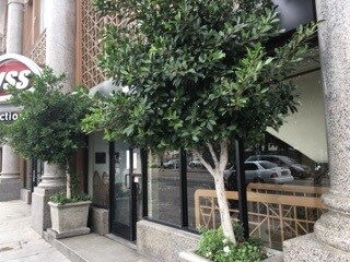 Primary Photo - 1610 W 7th St