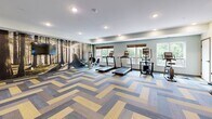 Located at 15315 Maple Island Rd in Burnsville, Minnesota, this well-appointed fitness center offers a thoughtfully designed exercise space suited for a well-rounded workout experience. The room is finished with a bold herringbone-patterned floor in shades of gold, grey, and blue, giving the space a vibrant and modern aesthetic that sets it apart from a typical gym environment.

The cardio zone features multiple treadmills, an elliptical trainer, and a stationary bike, all positioned along a wall of windows that frame views of lush green trees, allowing natural light to fill the room and creating an inviting, energizing atmosphere. A large wall mural depicting a sunlit forest adds a striking visual element, reinforcing the connection to nature.

The strength training area includes a multi-function cable machine, an adjustable workout bench, dumbbells, and a selection of stability and medicine balls neatly organized on a rack. A floor-to-ceiling mirror spans one wall, enhancing the sense of openness and providing visual feedback during workouts.

Recessed lighting throughout ensures even, well-distributed illumination. Additional amenities include a built-in water fountain station with a bottle-filling option. The space is accessible via a double-door glass entry and is cleanly maintained, making it a functional and appealing fitness facility.