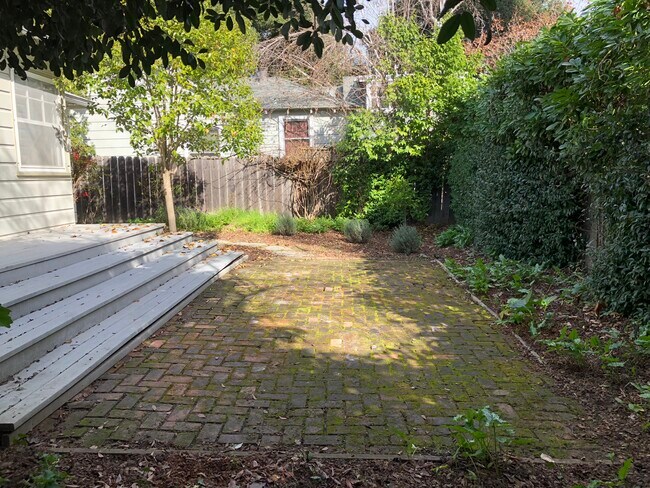 Patio trasero - 820 Palo Alto Ave