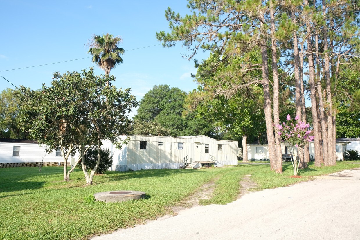 32704 Cantwell Dr, San Antonio, FL 33576 House Rental in San Antonio