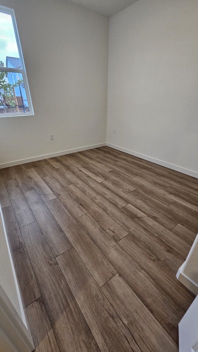 Downstairs Bedroom - 1525 Bluegill Way