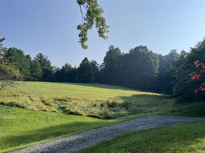Foto del edificio - 250 Hobson Br Rd