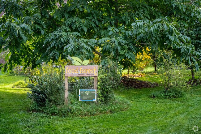 A fruit garden near the Cascadia Community College campus in Kenmore.