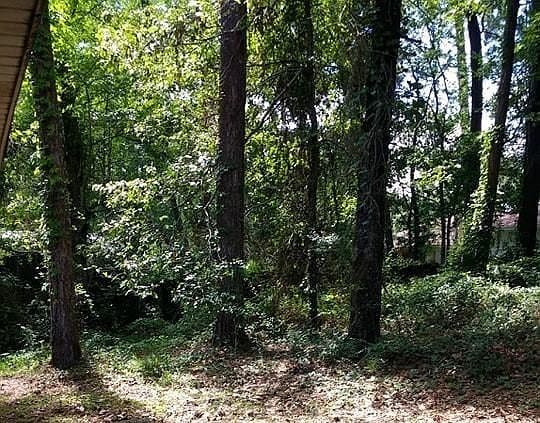 Back Yard is Wooded - 130 Pineridge Rd