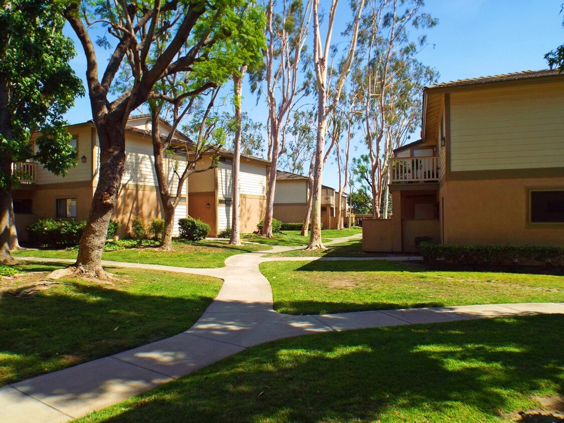 Amberwood Apartments Apartments in Chino, CA Westside Rentals