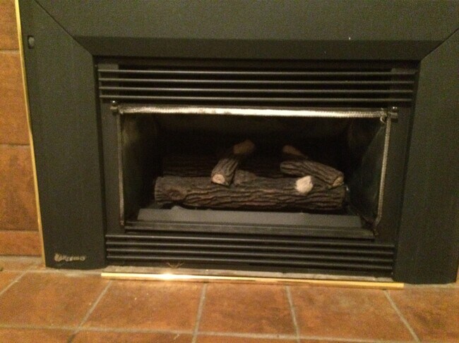 Gas Fireplace - 408 NE D St
