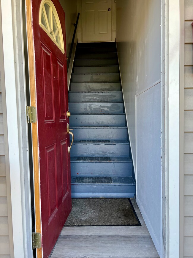 Entrance Stairwell - 537 Tompkins St