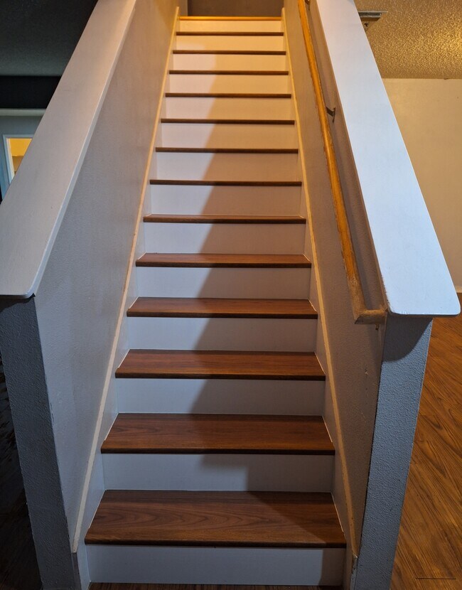 Foto del edificio - 8119 Stagwood Hl