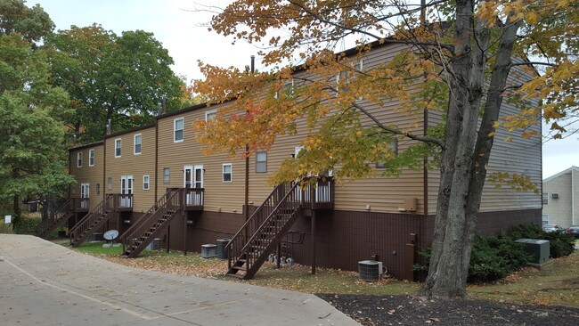 puma muse echo new school