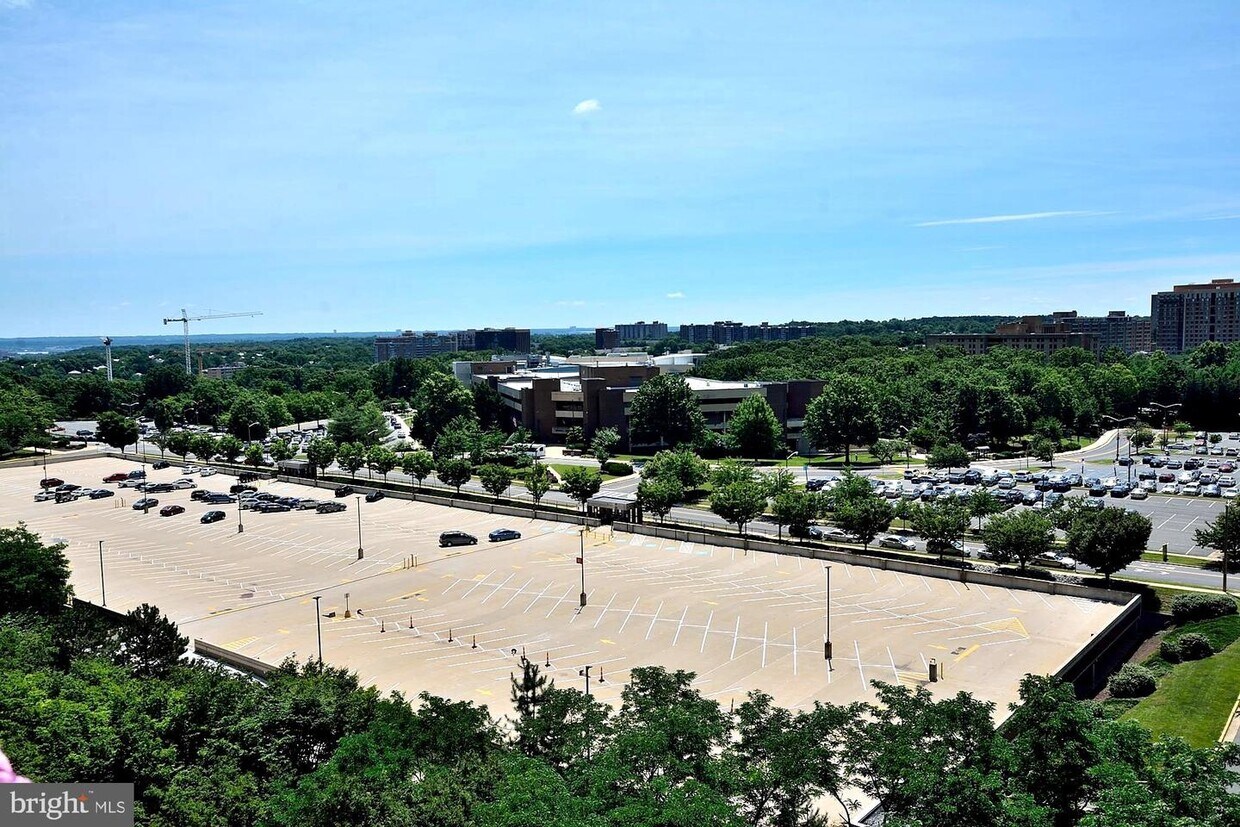 Foto principal - 3713 S George Mason Dr