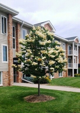 Foto del edificio - 3904 Valley View Dr N