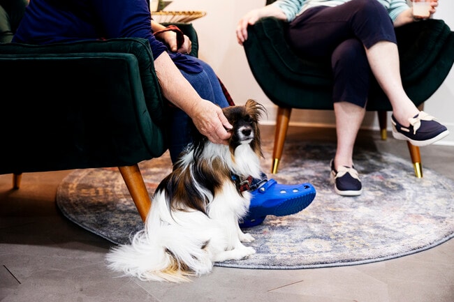 Foto del edificio - Sanders Flats by Eventide