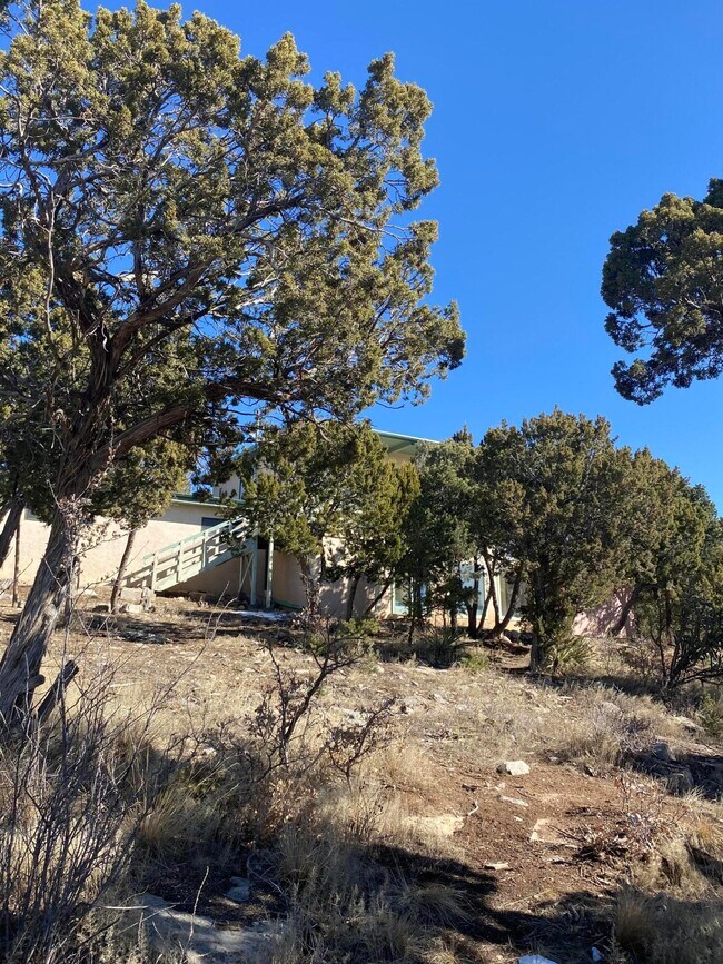 Foto del edificio - 88 Crestview Ln