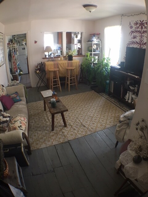Living Room - 1122 Mt Vernon St
