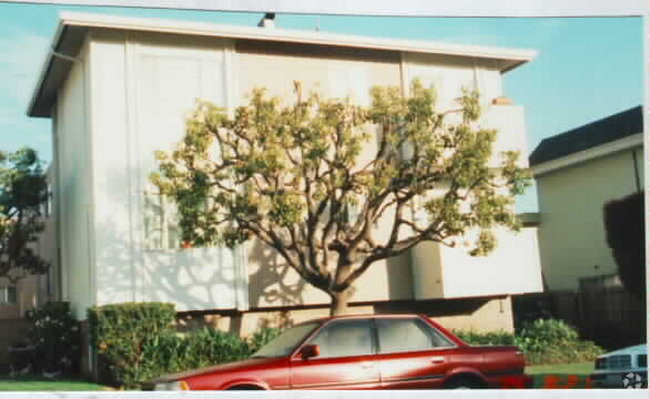 Foto del edificio - Parkview Apartments