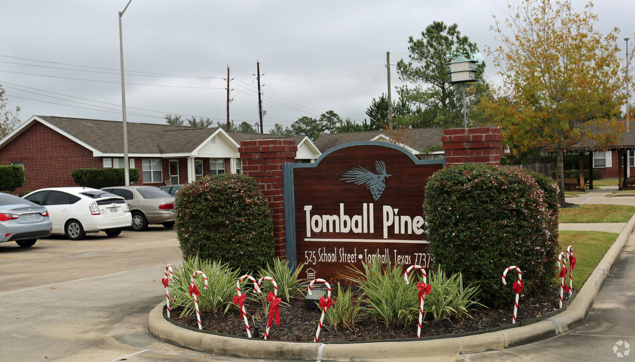 Primary Photo - Tomball Pines