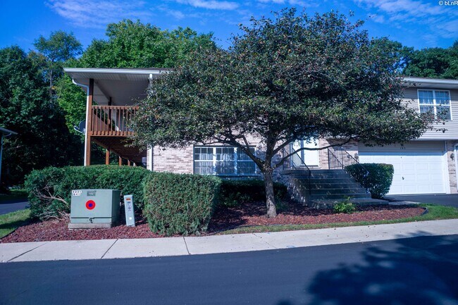 Building Photo - 955 Elderberry Cir