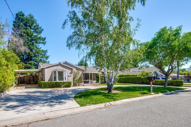 Building Photo - Single Story Gem in Saratoga! Quaint 3 BR 1.5 BA Home Ready for Occupancy with all new Air Condit...